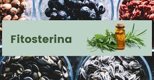 Fitosterina for Hair Growth: Separating Fact from Fiction