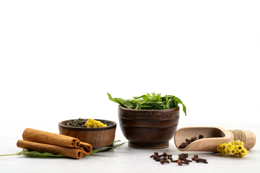 Well Health Organic Ayurveda: Embracing Ancient Wisdom for Modern Wellness